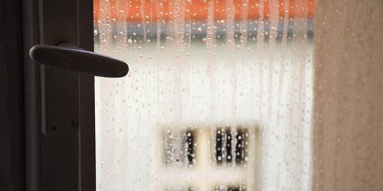 Ideal Humidity Level